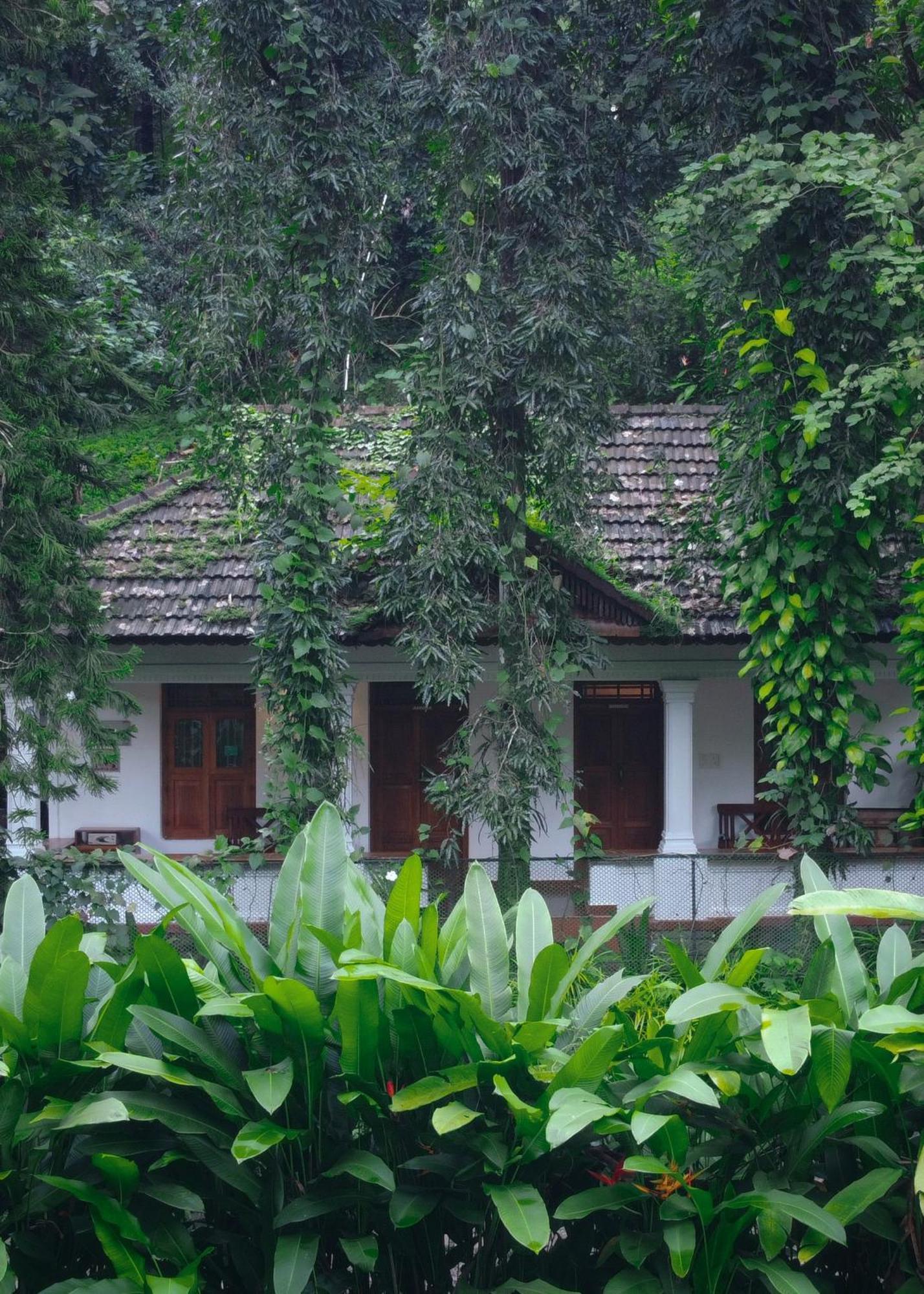 Vanilla County 瓦加蒙 外观 照片